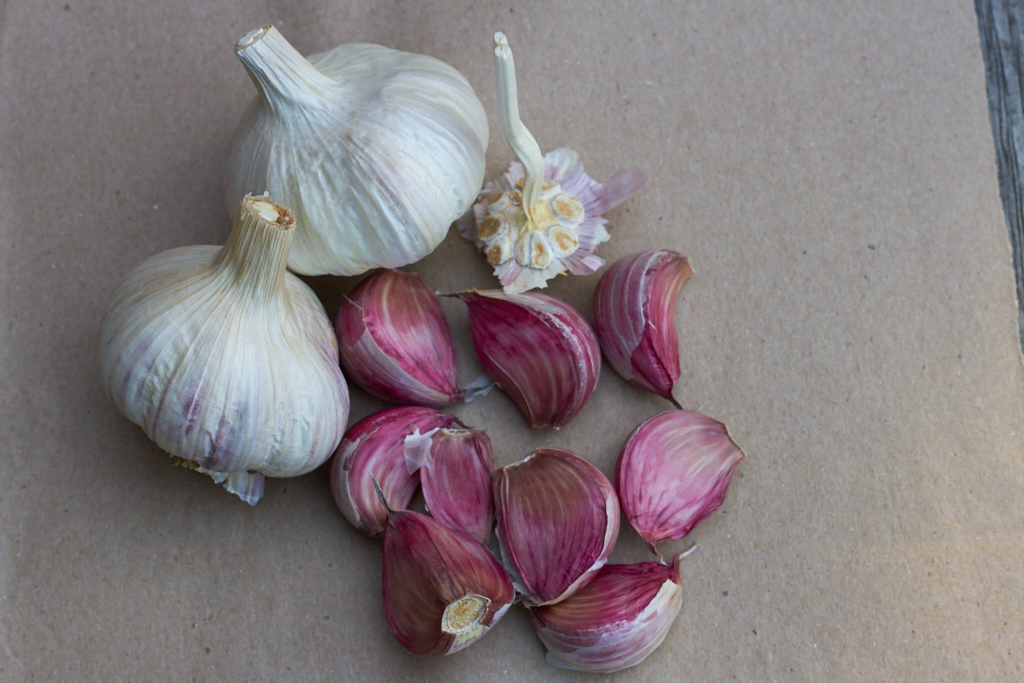 Creole garlic